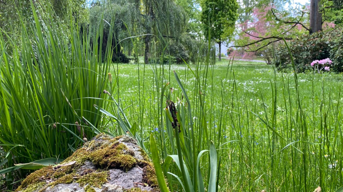 "Wir haben Verantwortung für die Umwelt"