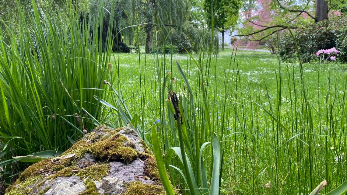 Wir haben Verantwortung für die Umwelt